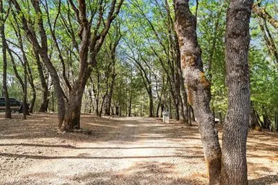 15580 Kitkitdizze Drive, Grass Valley, CA 95945 - Photo 61