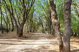 15580 Kitkitdizze Dr, Grass Valley, CA 95945 - Photo 61