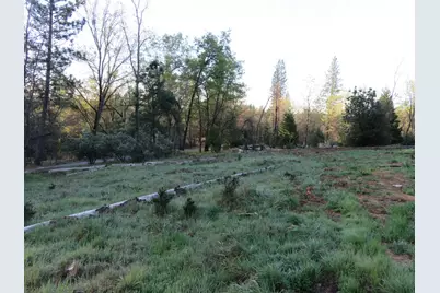 190 Bald Mountain Road, West Point, CA 95255 - Photo 5