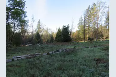 190 Bald Mountain Road, West Point, CA 95255 - Photo 11