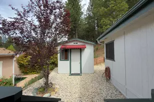 Timberland Dr, Grass Valley, CA 95949 - Photo 5