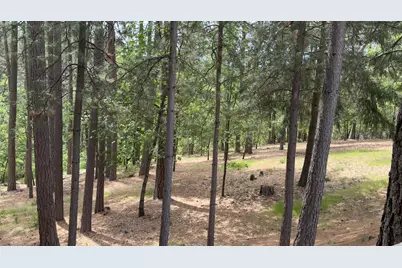 Timberland Drive, Grass Valley, CA 95949 - Photo 25