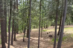 Timberland Dr, Grass Valley, CA 95949 - Photo 25