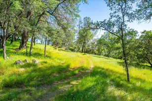 1991 Quartz Creek Ln, Placerville, CA 95667 - Photo 69