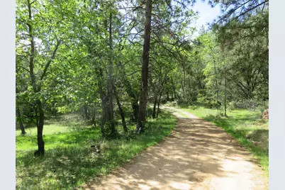 0 Higdon Spink Road, West Point, CA 95255 - Photo 17