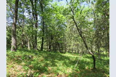 0 Higdon Spink Road, West Point, CA 95255 - Photo 29