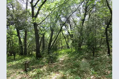 0 Higdon Spink Road, West Point, CA 95255 - Photo 25