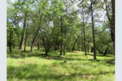 0 Higdon Spink Road, West Point, CA 95255 - Photo 19