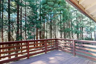 2841 Douglas Fir Dr, Camino, CA 95709 - Photo 11