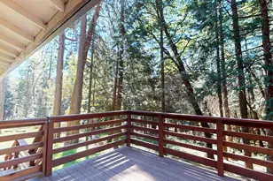 2841 Douglas Fir Dr, Camino, CA 95709 - Photo 21