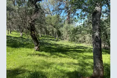 3465 Foothill Boulevard, Oroville, CA 95966 - Photo 7