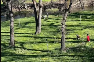 22174 Jennifer Dr, Grass Valley, CA 95949 - Photo 83