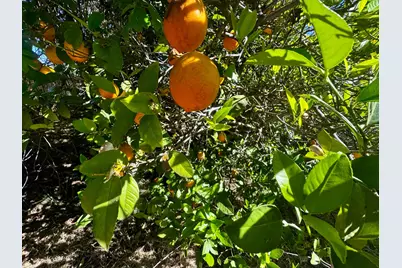 5500 Whitfield Way, Carmichael, CA 95608 - Photo 5