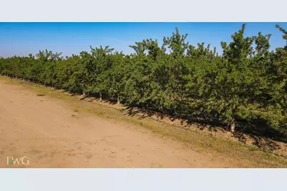25012 Avenue 24, Chowchilla, CA 93610 - Photo 9