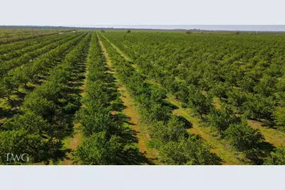 25012 Avenue 24, Chowchilla, CA 93610 - Photo 11