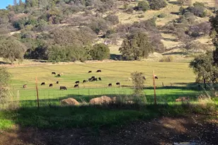 12602 Spenceville Rd, Penn Valley, CA 95946 - Photo 59