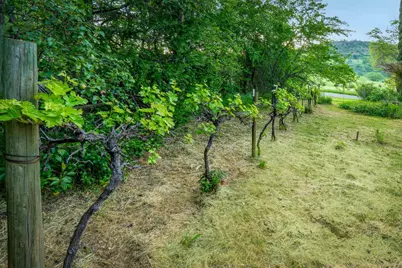 12602 Spenceville Road, Penn Valley, CA 95946 - Photo 45