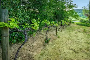 12602 Spenceville Rd, Penn Valley, CA 95946 - Photo 45