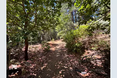 16704 New York House Road, Brownsville, CA 95919 - Photo 1