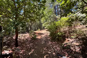 16704 New York House Rd, Brownsville, CA 95919 - Photo 1