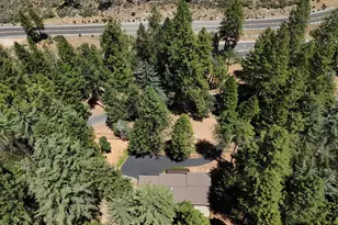 11782 Brunswick Pines Rd, Grass Valley, CA 95945 - Photo 69