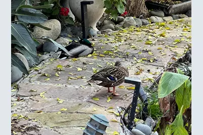 2424 Larkspur Lane #217, Sacramento, CA 95825 - Photo 67