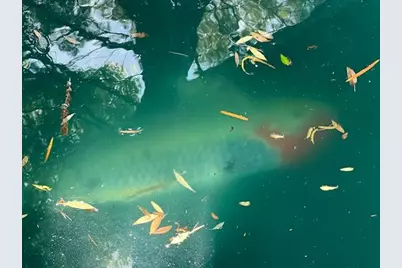 2424 Larkspur Lane #217, Sacramento, CA 95825 - Photo 63