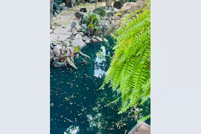 2424 Larkspur Lane #217, Sacramento, CA 95825 - Photo 61