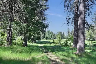 1801 Pine Dr, Arnold, CA 95223 - Photo 61