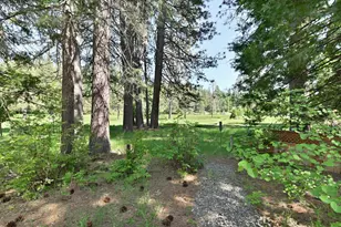 1801 Pine Dr, Arnold, CA 95223 - Photo 55