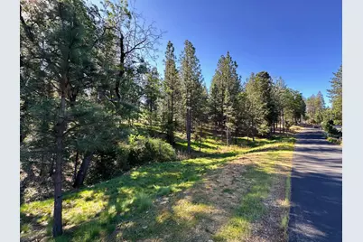 1711 The Point Rd, Meadow Vista, CA 95722 - Photo 21