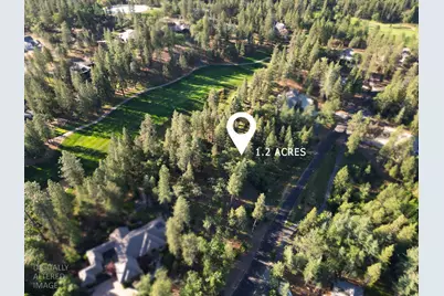 1711 The Point Rd, Meadow Vista, CA 95722 - Photo 3