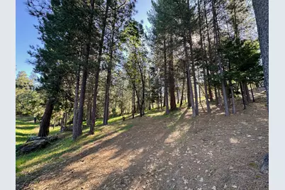 1711 The Point Rd, Meadow Vista, CA 95722 - Photo 19