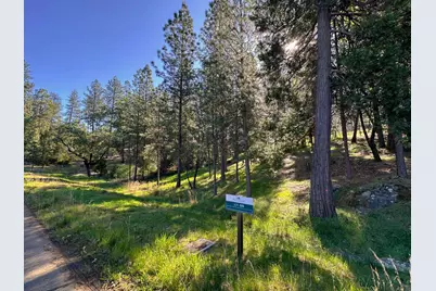 1711 The Point Rd, Meadow Vista, CA 95722 - Photo 15