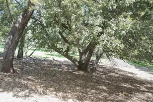 11570 Quail Ct, Pine Grove, CA 95665 - Photo 23