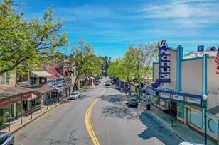 233 Mistletoe Ct, Angels Camp, CA 95222 - Photo 59