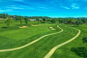 233 Mistletoe Ct, Angels Camp, CA 95222 - Photo 51