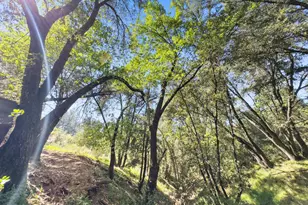 22666 Lower Quail Mine Rd, Sonora, CA 95370 - Photo 21