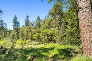 22666 Lower Quail Mine Rd, Sonora, CA 95370 - Photo 11