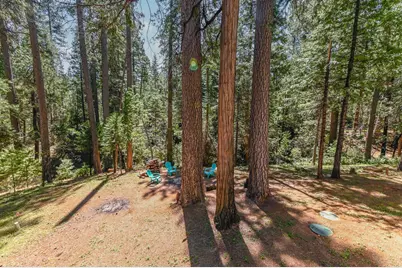 26670 Columbia Drive, Pioneer, CA 95666 - Photo 43