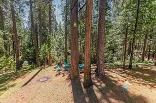 26670 Columbia Dr, Pioneer, CA 95666 - Photo 43