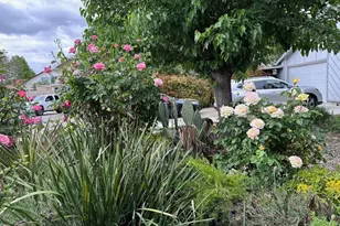 6838 Olive Tree Way, Citrus Heights, CA 95610 - Photo 15