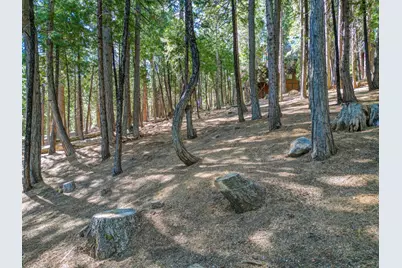 758 Yuroc, Dorrington, CA 95223 - Photo 35