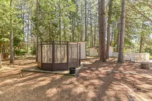 4353 Champion Ct, Wilseyville, CA 95257 - Photo 11