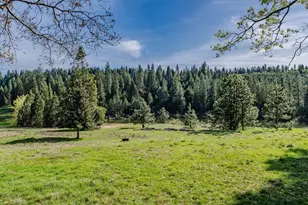 26262 Fairway Dr, Pioneer, CA 95666 - Photo 31