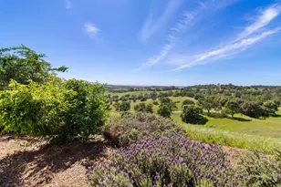 11015 Vintage Rd, Ione, CA 95640 - Photo 69