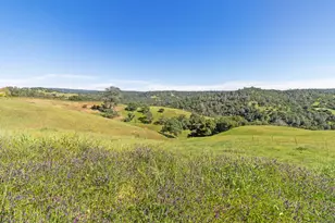 11015 Vintage Rd, Ione, CA 95640 - Photo 75