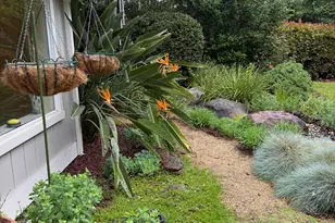 8120 Ella Ct, Citrus Heights, CA 95610 - Photo 35