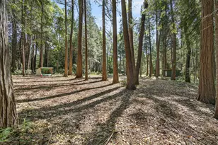 28245 Big Dipper Rd, Colfax, CA 95713 - Photo 53