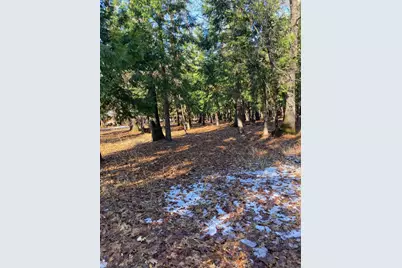 13117 Madrone Forest Drive, Nevada City, CA 95959 - Photo 9